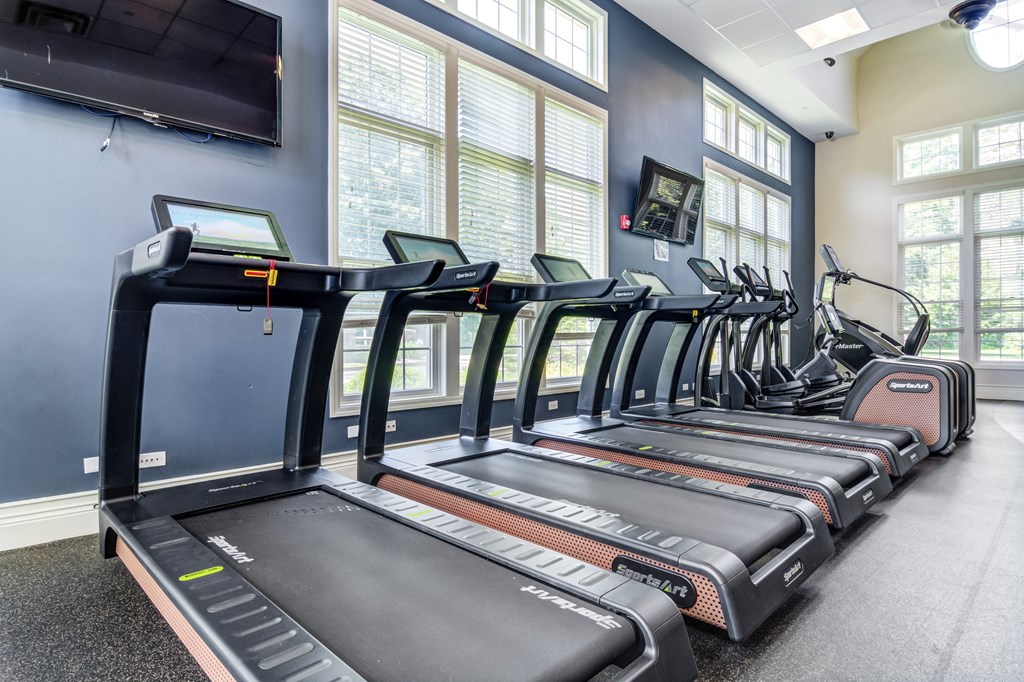 a row of treadmills in front of a wall of windows