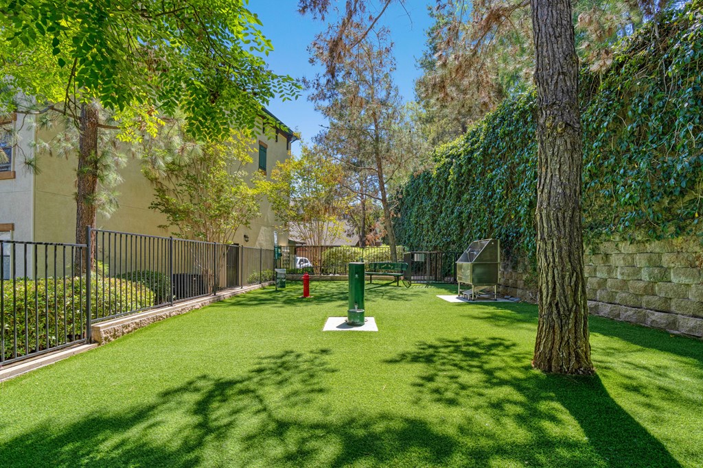 A green lawn with a tree and a red fire hydrant.