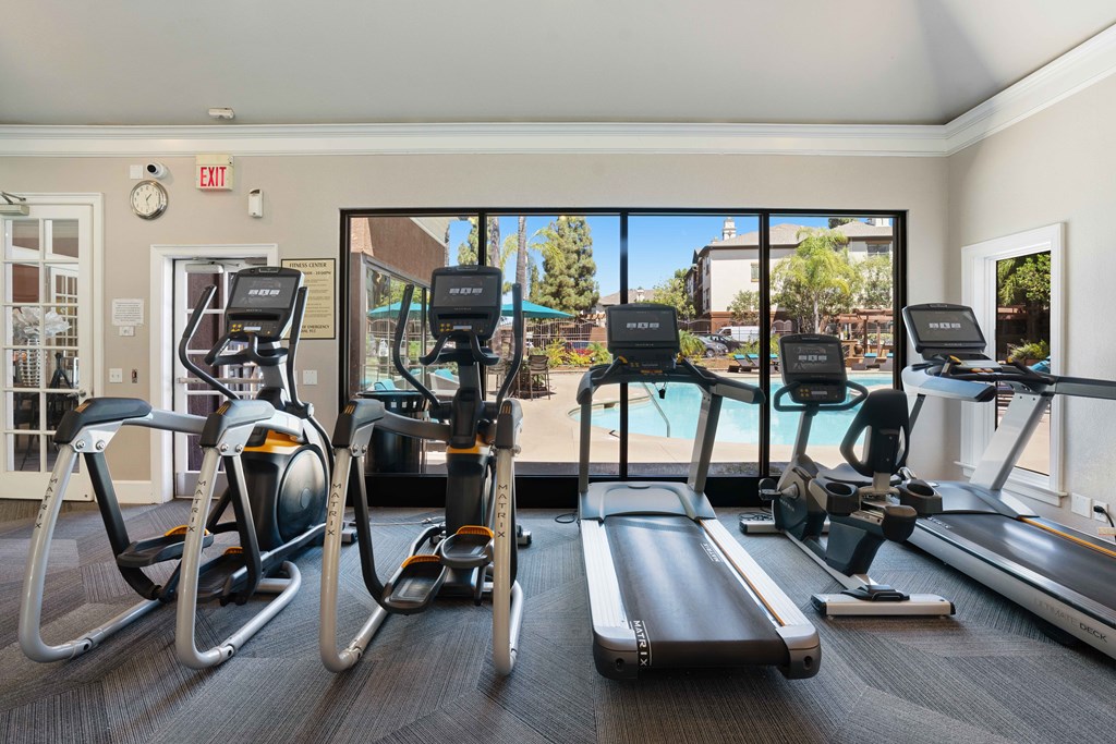 A gym with treadmills, elliptical machines, and stationary bikes.