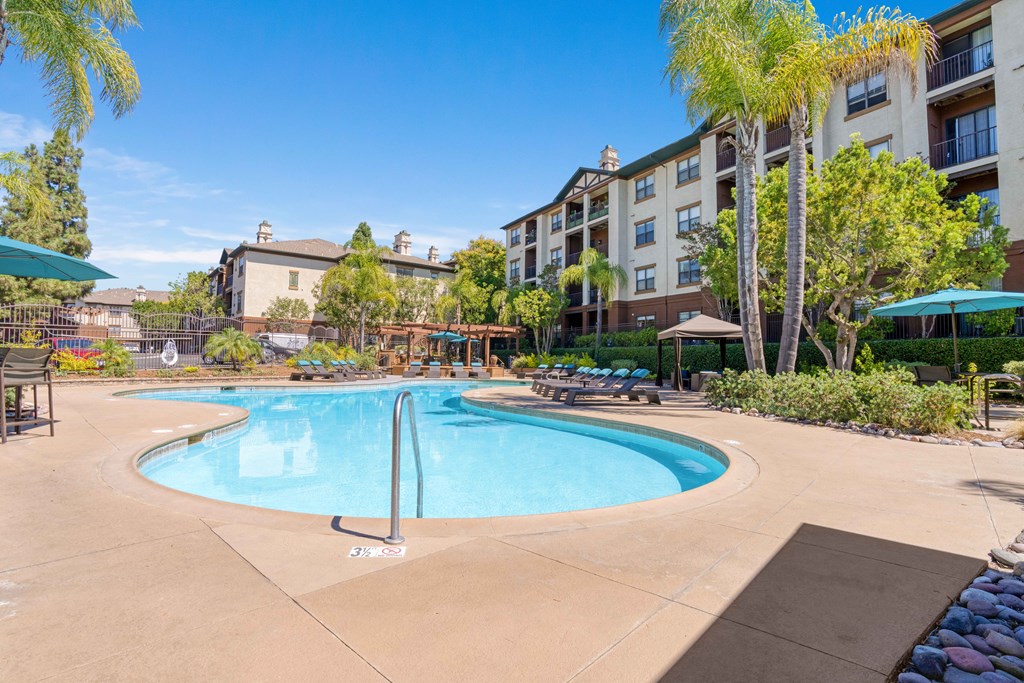 A large swimming pool surrounded by palm trees and lounge chairs.