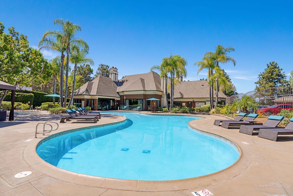A large outdoor swimming pool surrounded by palm trees and lounge chairs.