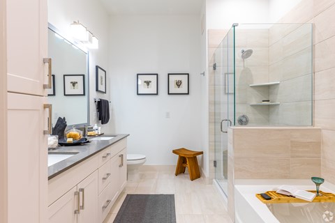 A bathroom with a walk in shower and a vanity with a mirror.