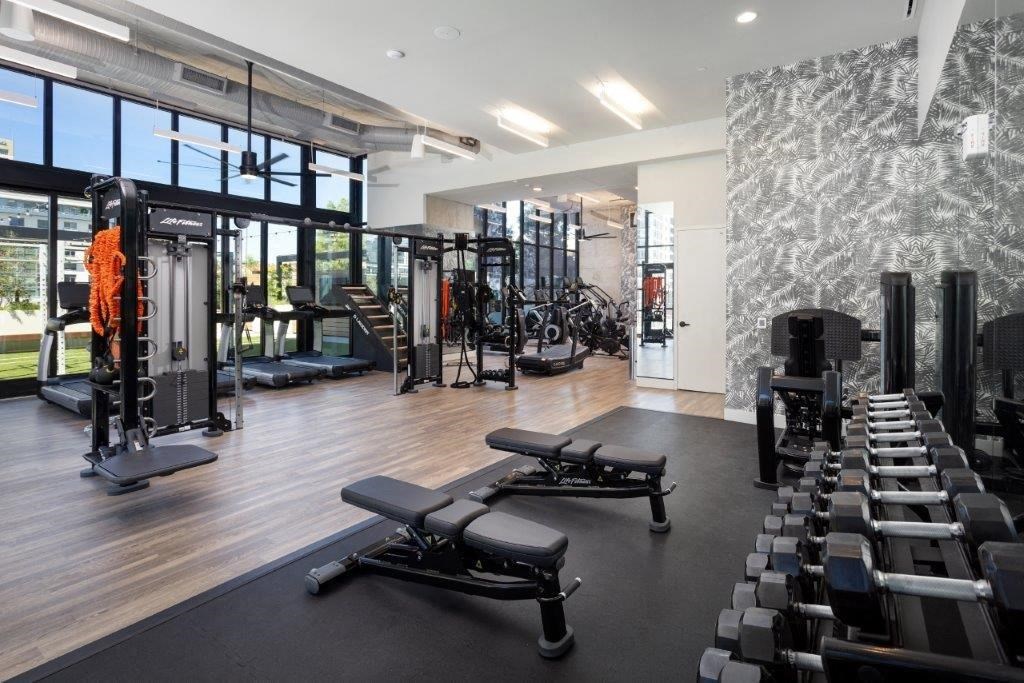 A gym with a variety of equipment including treadmills, weights, and benches.