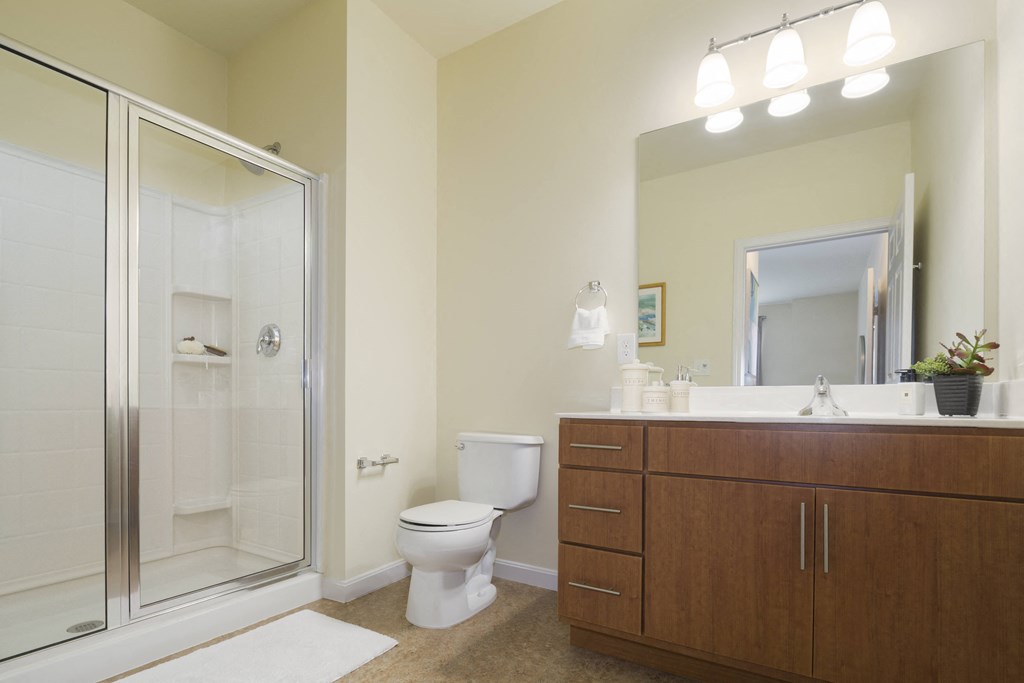 a bathroom with a shower toilet and sink