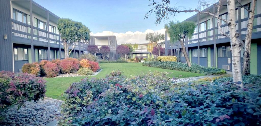 Garden Courtyard