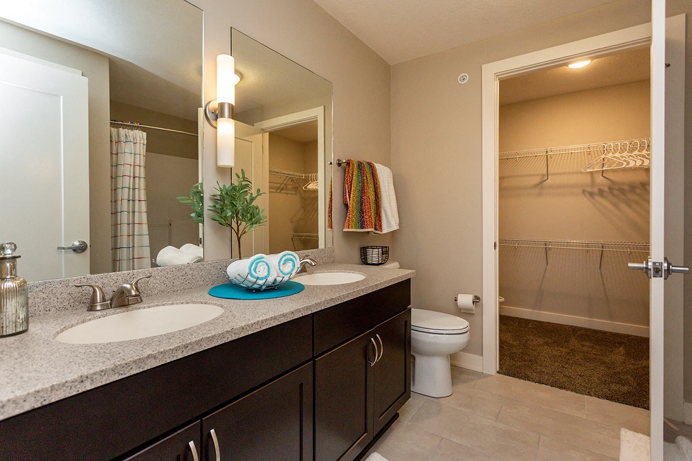 master bedroom with double sinks, a toliet, and a large walk-in closet