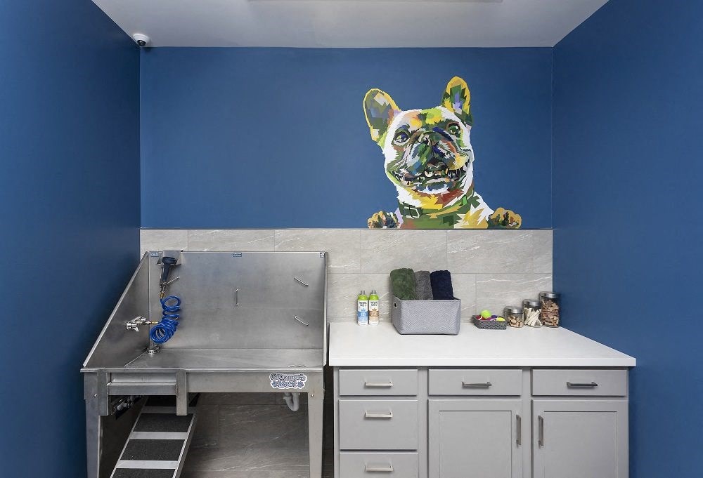 paw spa with sink, countertop, and dog painting