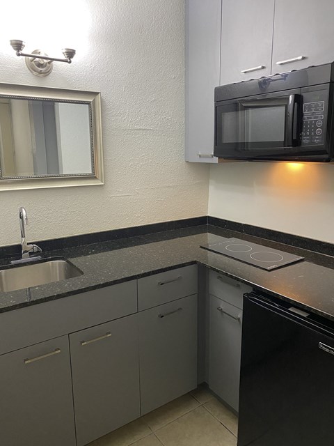 a kitchen with a sink and a microwave at Colonial Apartments, Orlando Florida