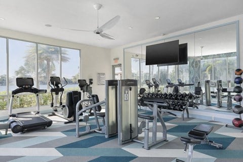 a gym with a view of the beach and palm trees at Lakeside Villas, Orlando Florida