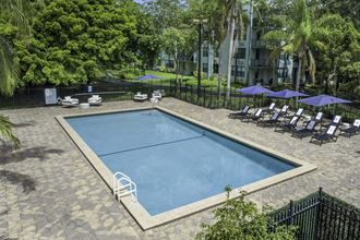a swimming pool with lounge chairs and umbrellas in front of an apartment building  at Club at Emerald Waters, Hollywood, FL - Photo Gallery 2