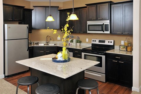 a kitchen with black cabinets and stainless steel appliances