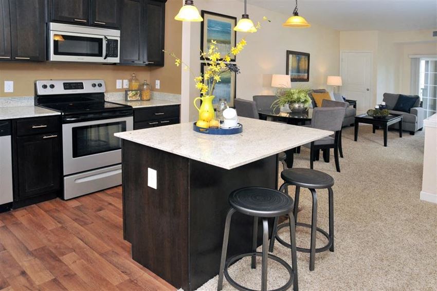 Kitchen and living room - Photo Gallery
