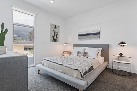 A bedroom with a large bed and a cactus on the side table.