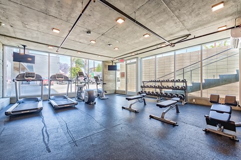A gym with treadmills, exercise bikes, and weight benches.