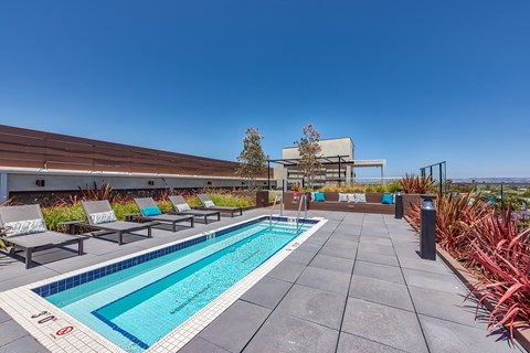 A pool surrounded by lounge chairs and plants.
