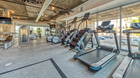 A gym with treadmills and elliptical machines.