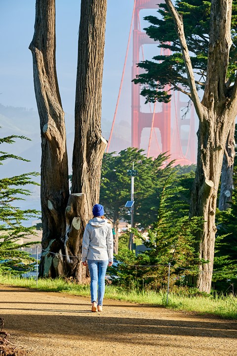 A person in a white jacket and blue jeans is walking down a dirt path with trees on either side.