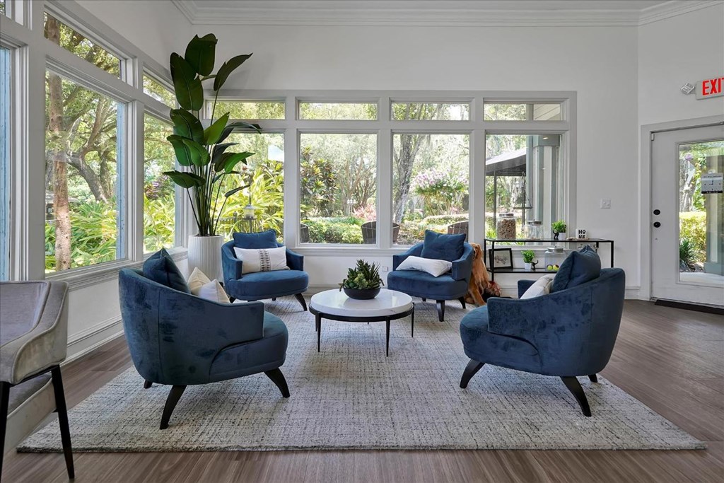 a living room with blue chairs and a rug    and a large window