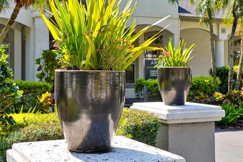 ARIUM Valencia Gardens