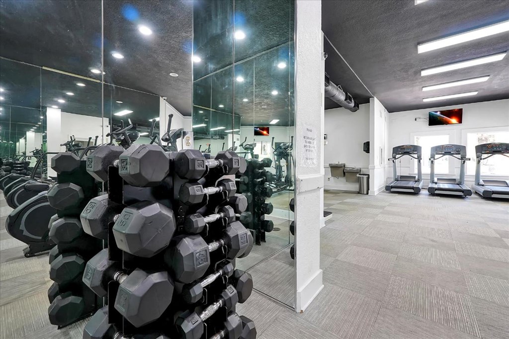 the gym at the clubhouse has weights and cardio equipment