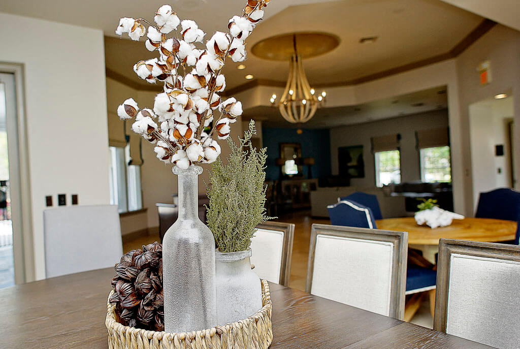 Lansbrook Village By ARIUM