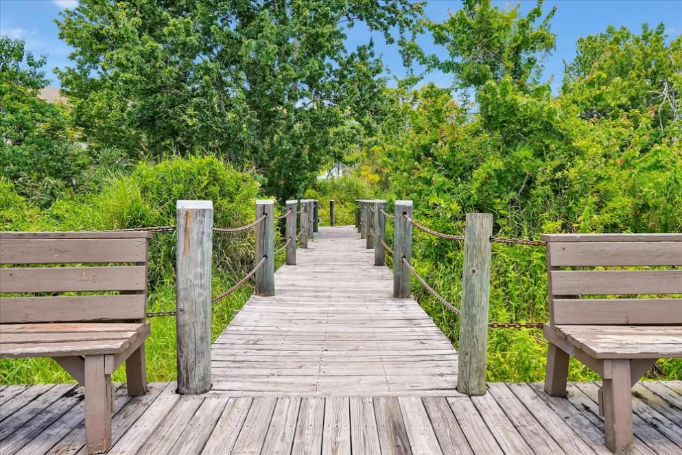 two benches on a wooden pier with trees