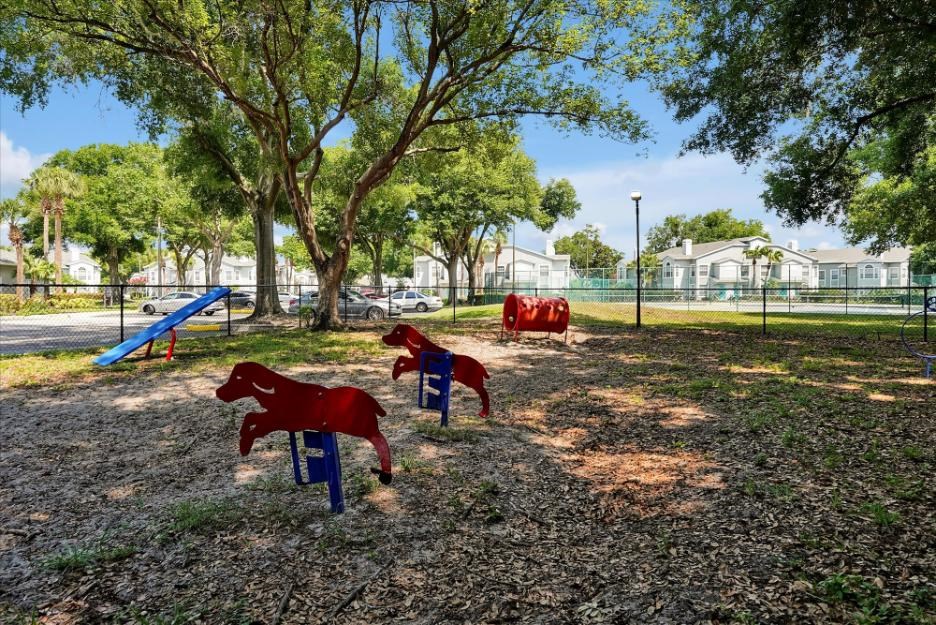 dog park
