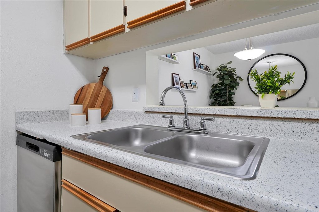 a kitchen with a sink and a dishwasher