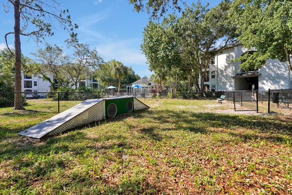 dog park