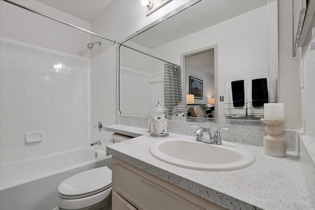 a bathroom with a sink and a toilet and a mirror