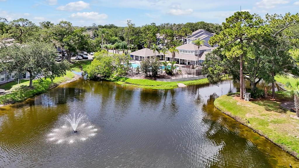 ARIUM Kissimmee Lakes