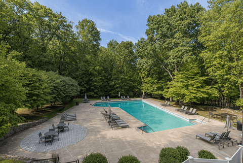 A large swimming pool surrounded by trees and lounge chairs.
