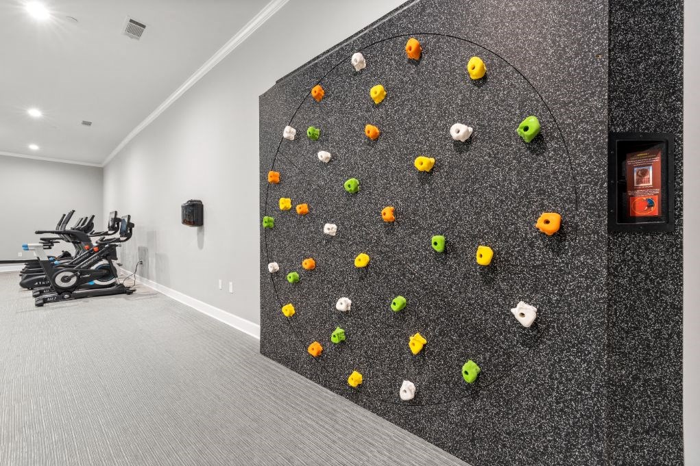 Rock Climbing Wall