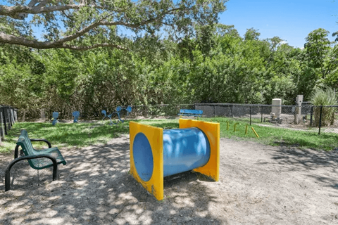 dog park
