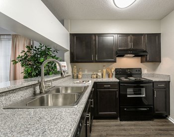 Interior Kitchen - Photo Gallery 3