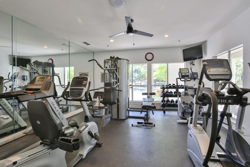 ARIUM Grove Walk Apartments, 175 Heron Run Dr, Sarasota, FL - RentCafe