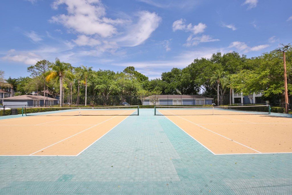 Sports Court