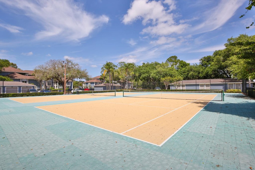 Sports Court