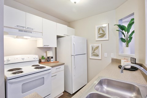 a white kitchen with a stove sink and refrigerator