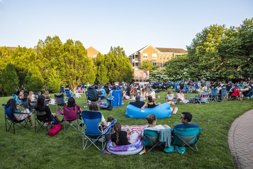 A group of people are sitting on the grass in the sunshine.
