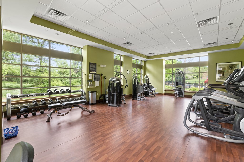 A gym with a variety of equipment including treadmills, weights, and exercise machines.