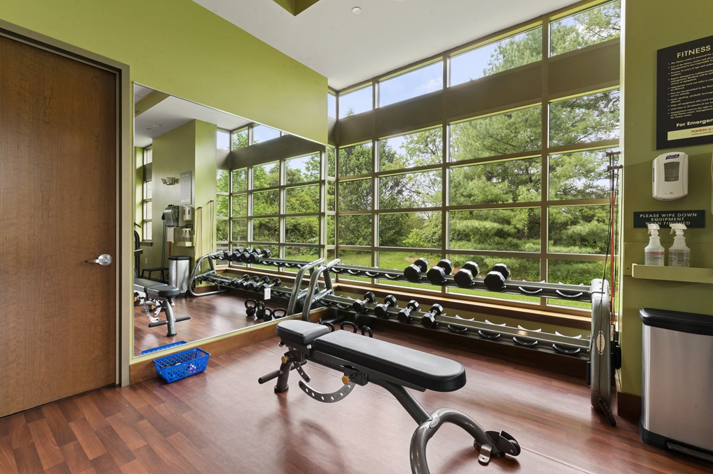 A gym with a row of dumbbells and a bench in the foreground.
