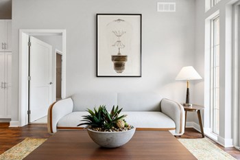 Living Room Decor - Photo Gallery 4