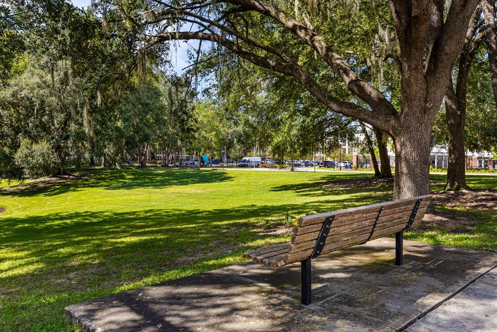 A park bench is situated under a tree.