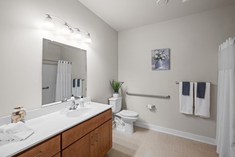 a bathroom with a large mirror and a sink and a toilet
