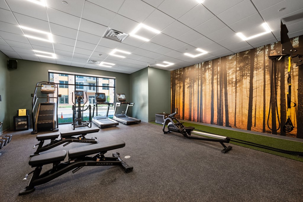 A spacious fitness room with cross training weight and cardio equipment and a large window.