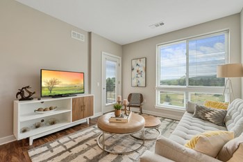 Sun Filled Living Area - Photo Gallery 2
