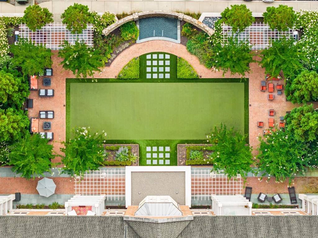 A green screen is surrounded by trees and plants.