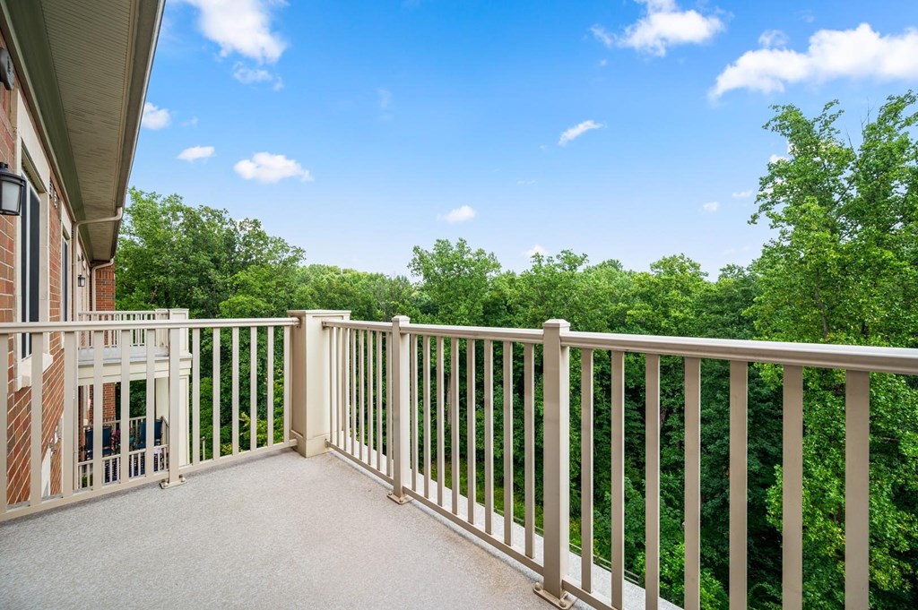 A balcony with a white railing overlooks a green forest.
