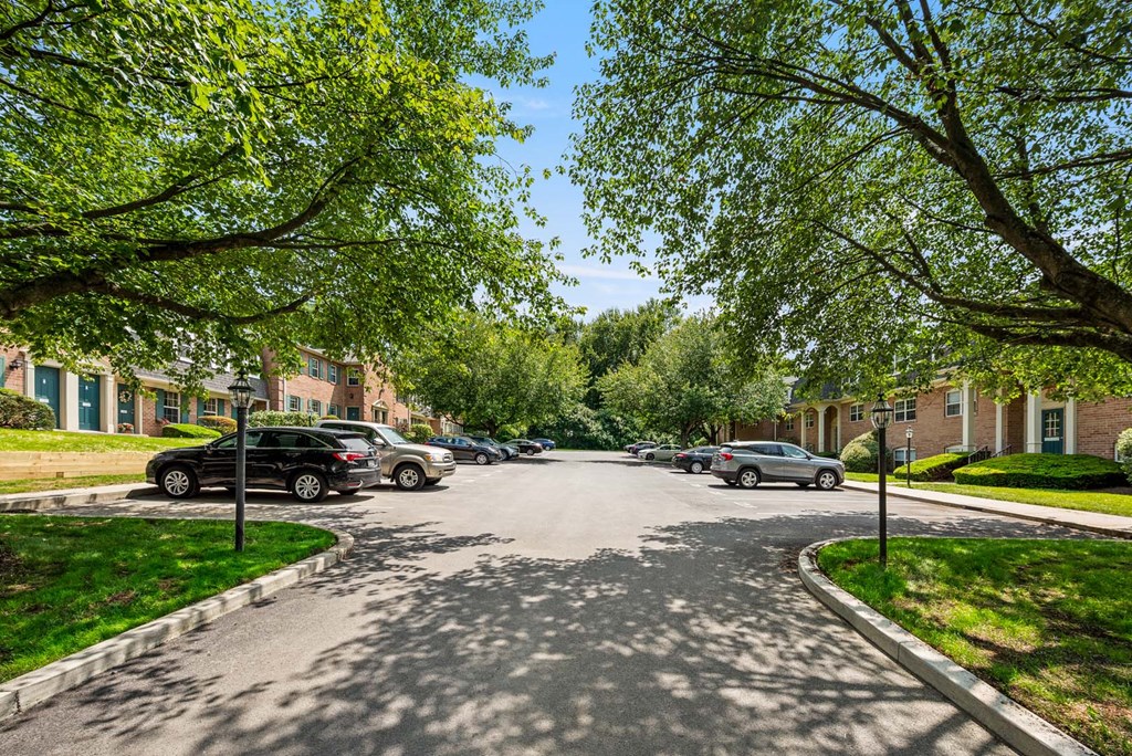A tree-lined street with cars parked on the side.